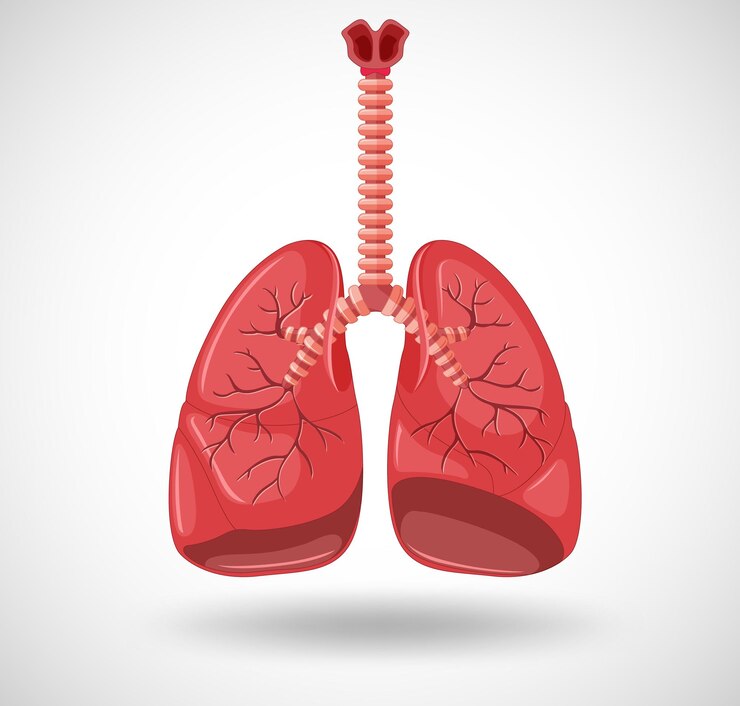 PNEUMOLOGIE